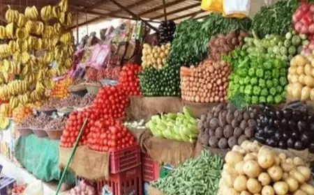 31 أغسطس 2025.. أسعار الخضروات والفاكهة بسوق العبور للجملة اليوم