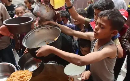 شهداء الجوع في غزة.. تسجيل 7 وفيات جديدة بسبب المجاعة