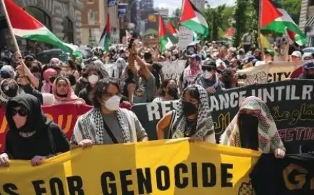 استطلاع هارفارد: 60% من جيل Z في الولايات المتحدة يدعمون حماس في مواجهة إسرائيل