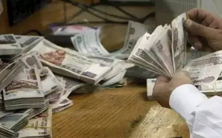 البنك الأهلي يخفض سعر الفائدة 1.5% و4% على شهادات الادخار الثلاثية للعائد الثابت والمتدرجة