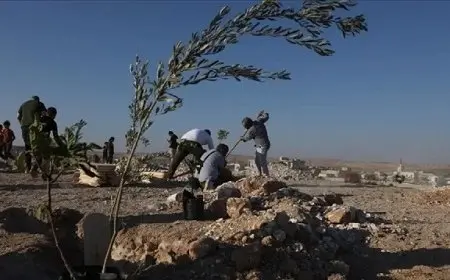 تحمل أسماء مختفين قسريا.. سوريون يزرعون 500 شجرة بإدلب