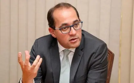 وزير المالية: مصر تعمل على طرح سندات للمغتربين خلال العام الجاري
