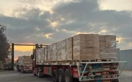 135 شاحنة مساعدات تعبر رفح إلى كرم أبو سالم دعما لغزة