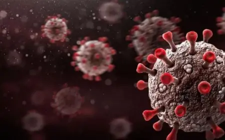 مستشار الرئيس للصحة: لا انتشار لفيروسات أو متحورات جديدة.. وكورونا أصبح متوطنا