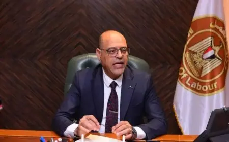 وزير العمل يستعرض جانبا من حقوق المرأة في القانون الجديد: مكفولة بالقطاعين العام والخاص