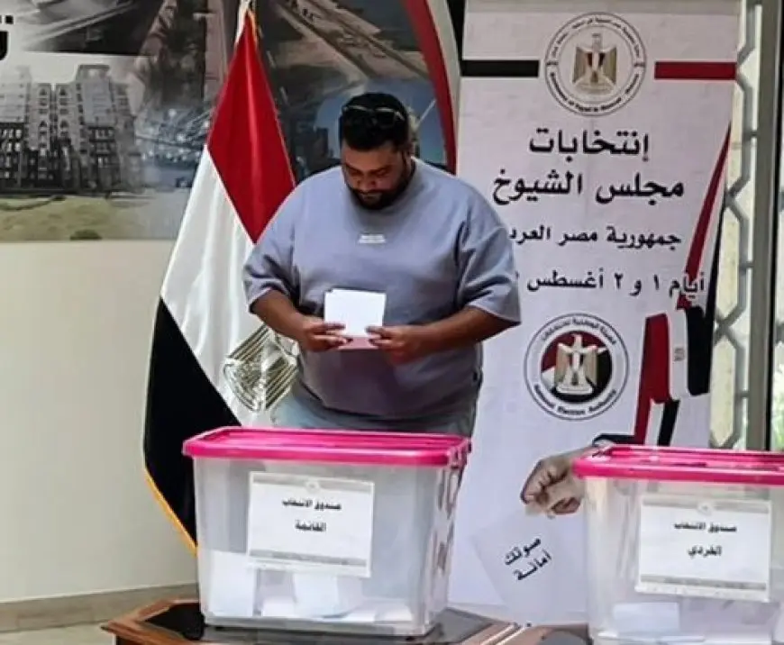 الوطنية للانتخابات: اليوم الثاني لانتخابات مجلس الشيوخ في الخارج يسير بانتظام ودون عوائق
