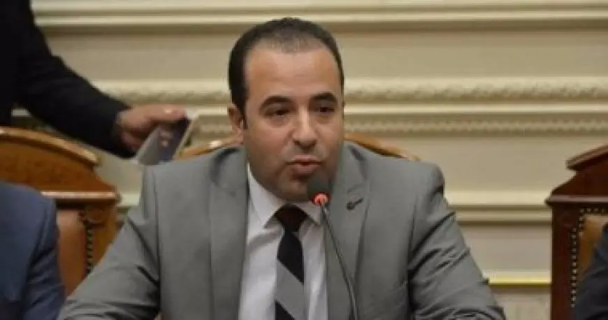 رئيس اتصالات النواب: القانون يسمح بحجب تيك توك في مصر