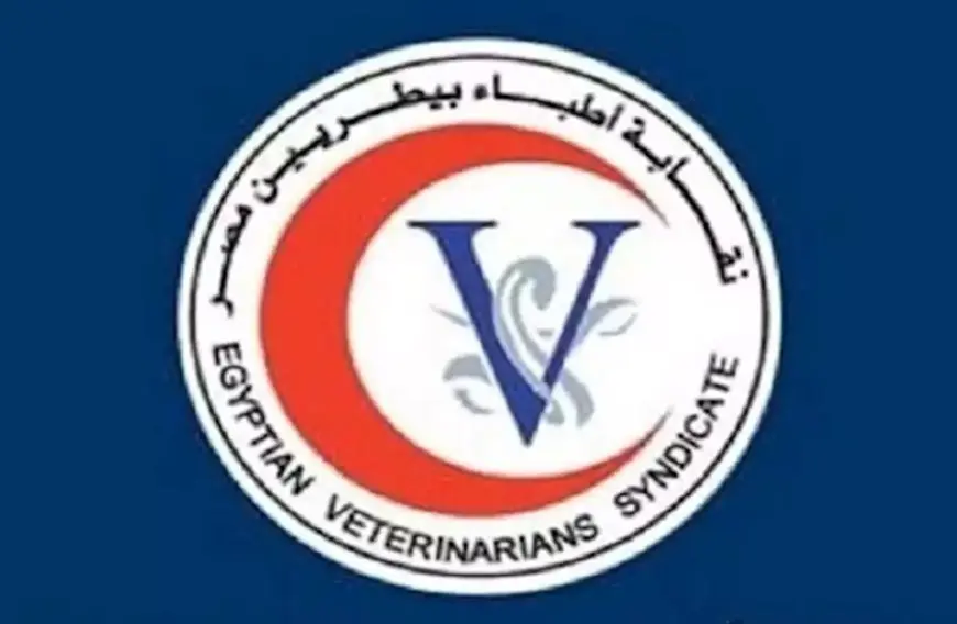 نقابة الأطباء البيطريين توضح موقفها من عمومية اتحاد المهن الطبية.. وتدعو للوحدة