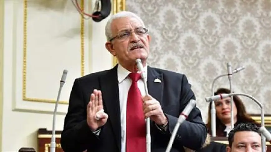 النائب عاطف المغاوري: نحتاج لتشريعات تضبط استخدام تيك توك دون المساس بالحريات العامة