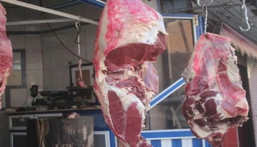 شعبة القصابين: انخفاض أسعار اللحوم 20%.. ونشكر الدولة على دعمها صغار المربين