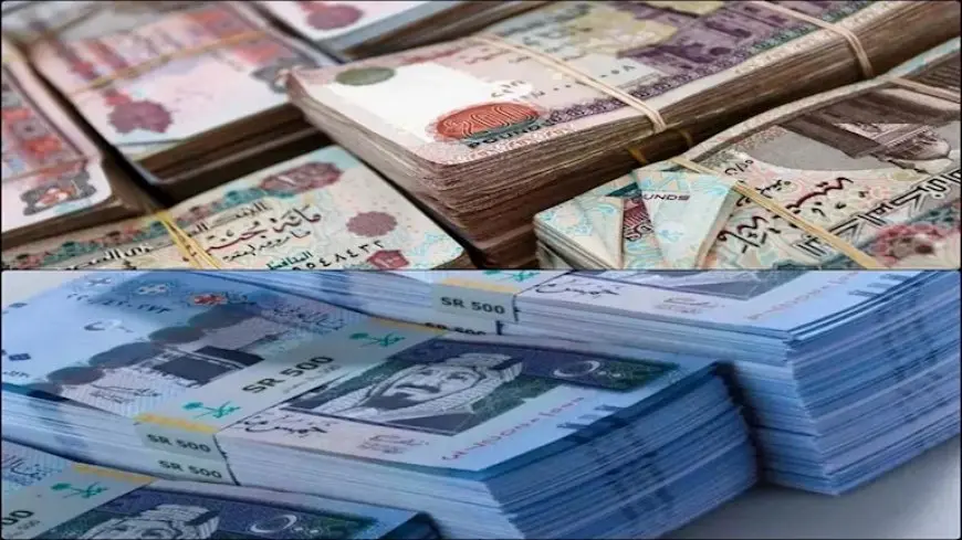 سعر الريال السعودي مقابل الجنيه في 5 بنوك خلال تعاملات اليوم