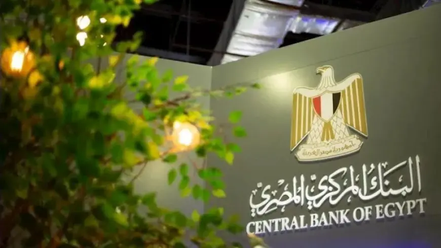 14.94 مليار دولار بيونيو.. فائض الأصول الأجنبية يرتفع للمرة الثانية ببنوك مصر