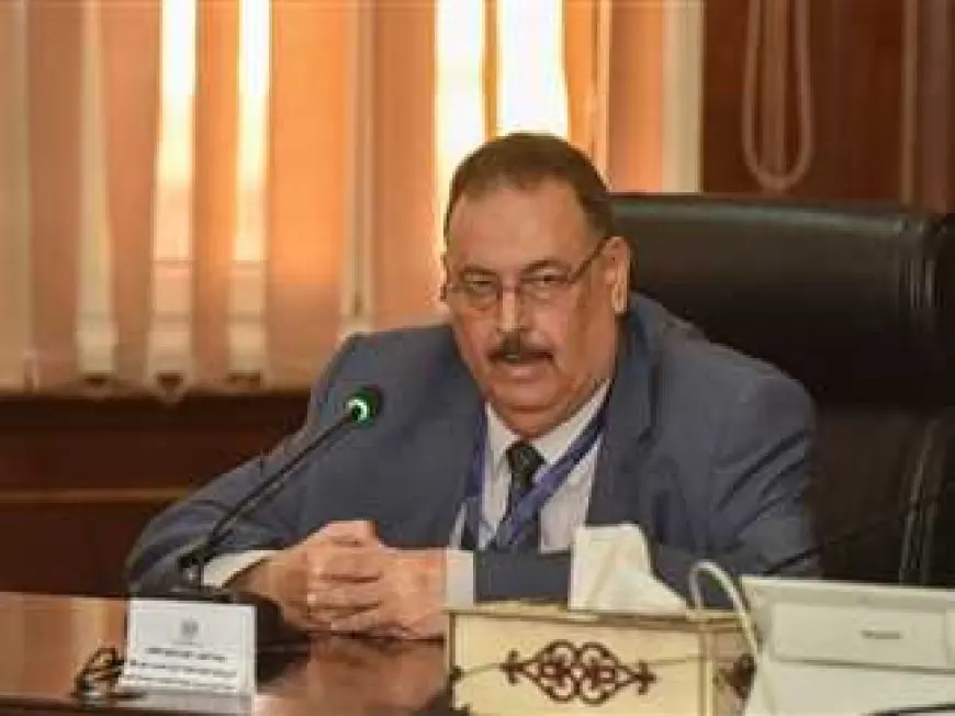 رئيس لجنة جامعة الدول العربية لمتابعة انتخابات الشيوخ لـ«الشروق»: التنظيم والاستعداد على أعلى مستوى