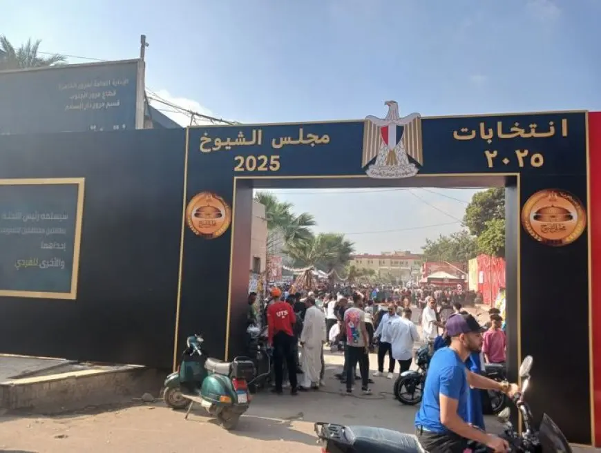 انتخابات الشيوخ.. توقف التصويت في لجان دار السلام والبساتين ساعة للراحة