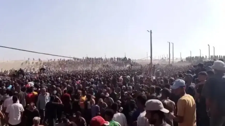 الأمم المتحدة: استشهاد 1500 شخص حاولوا الحصول على الغذاء بغزة