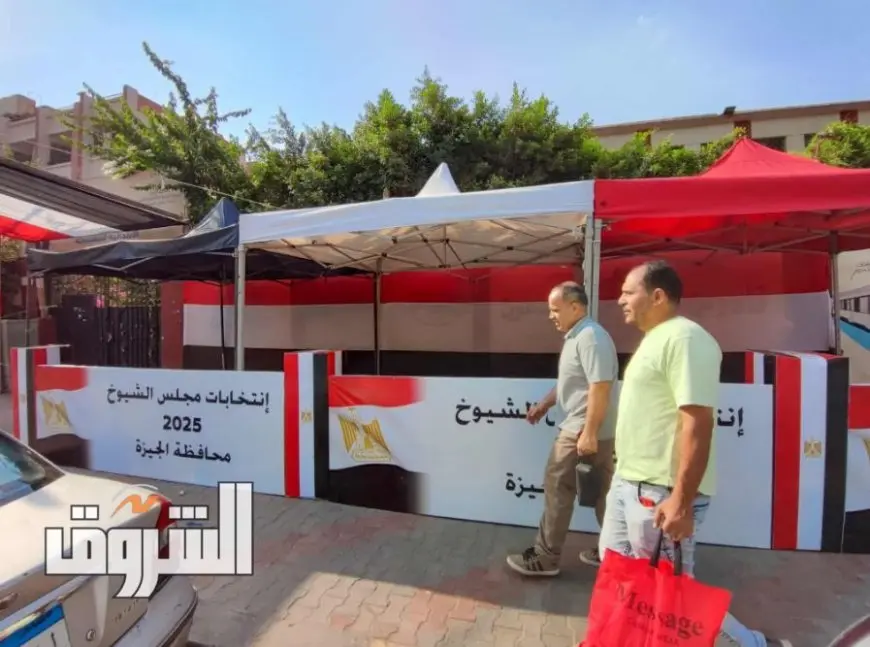 انتخابات مجلس الشيوخ.. الهيئة الوطنية: اللجان العامة ستعلن الحصر العددي وليس النتائج