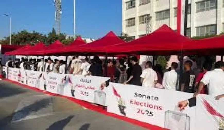 ائتلاف نزاهة: انتخابات مجلس الشيوخ سارت وفق المعايير الدولية وبتنظيم محكم