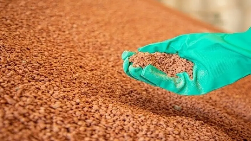 مصدر حكومي لـ الشروق: نبحث زيادة سعر الأسمدة المدعمة في حالة إقرار زيادات الغاز