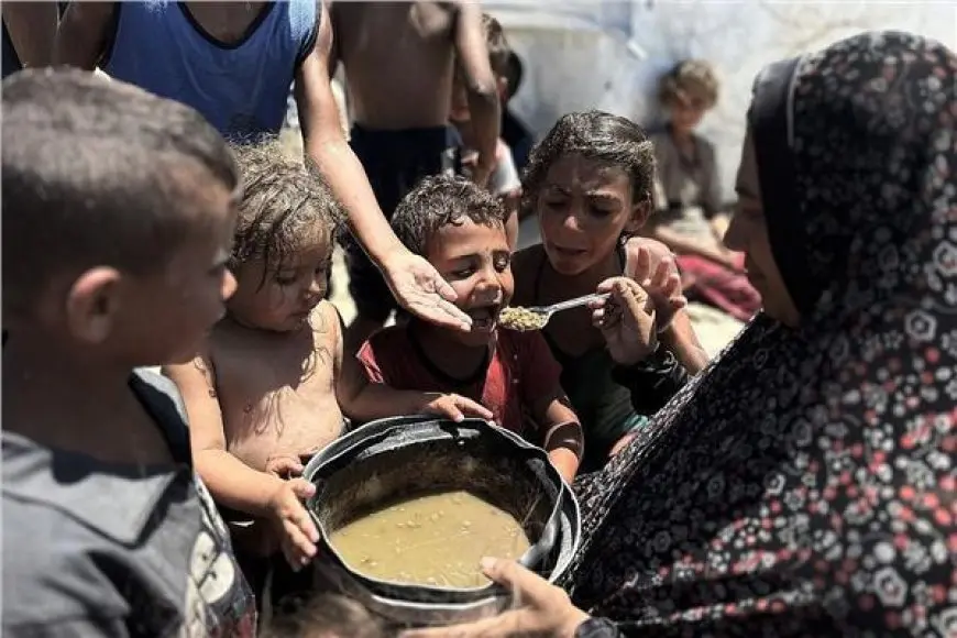 ارتفاع إجمالي ضحايا المجاعة وسوء التغذية في غزة إلى 193 بينهم 96 طفلا