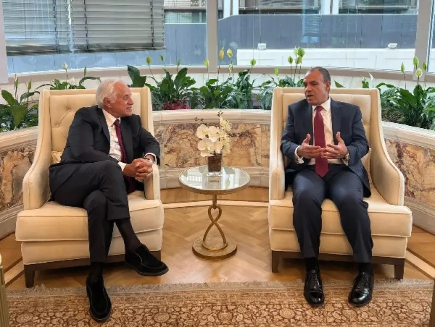 عبدالعاطي يلتقى مالك ورئيس مجلس إدارة مجموعة الشركات المعنية بتنفيذ مشروع الربط الكهربائى بين مصر واليونان