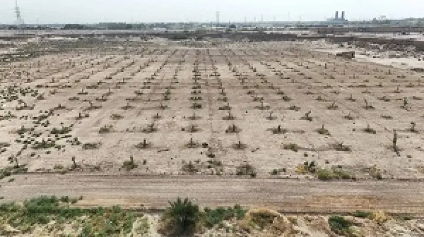 العراق يتجه إلى تعليق الخطة الزراعية المقبلة بسبب الجفاف