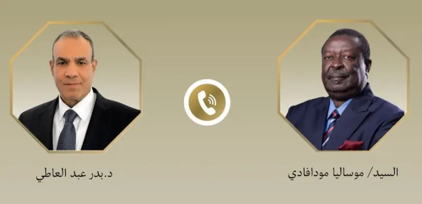 وزير الخارجية يؤكد لنظيره الكيني ضرورة الالتزام بقواعد القانون الدولي فيما يتعلق بالموارد المائية المشتركة