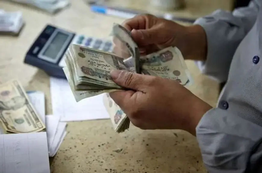 وزارة العمل تعلن مواعيد صرف المعاشات التقاعدية العراقية للعمال المصريين