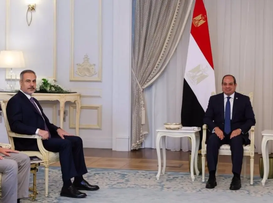 الرئيس السيسي يستقبل وزير الخارجية التركي