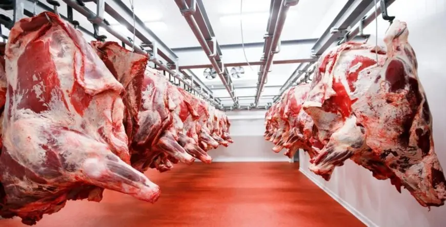 التنافس الصيني الأمريكي يمتد إلى لحوم الأبقار.. وترامب يشعل الأسعار إلى مستوى تاريخي