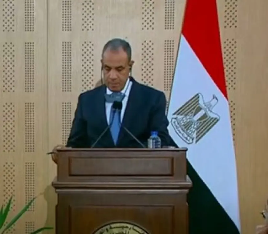 وزير الخارجية: أردوغان يزور مصر العام المقبل