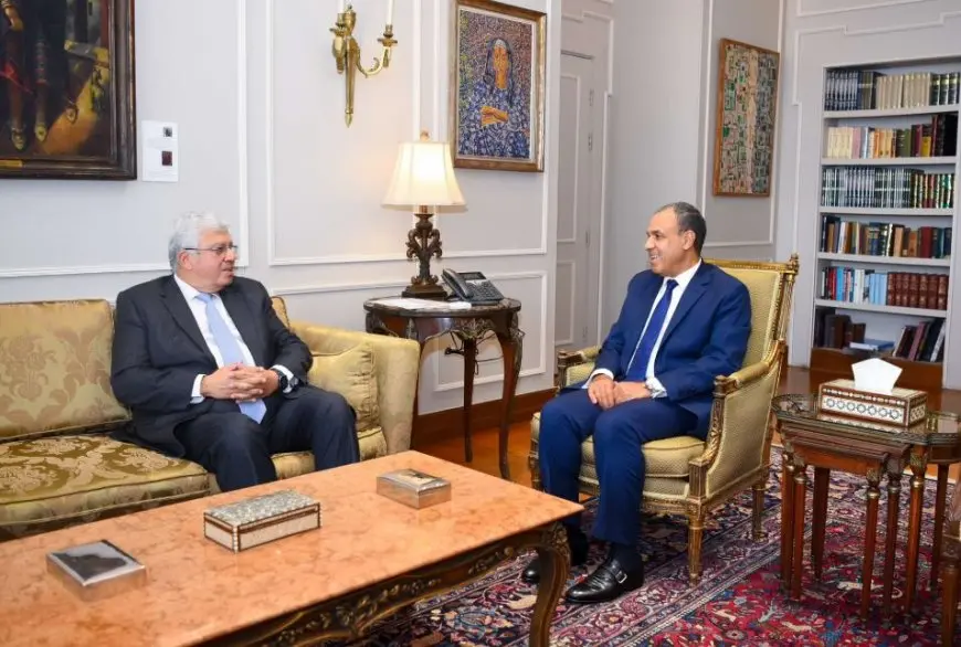 وزير الخارجية: توطيد أواصر التعاون بين المؤسسات التعليمية المصرية ونظيرتها بالخارج