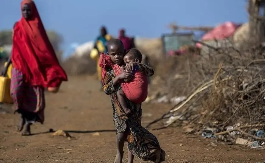 سودانيون تحت التجويع.. الفاشر تستغيث من حصار الدعم السريع