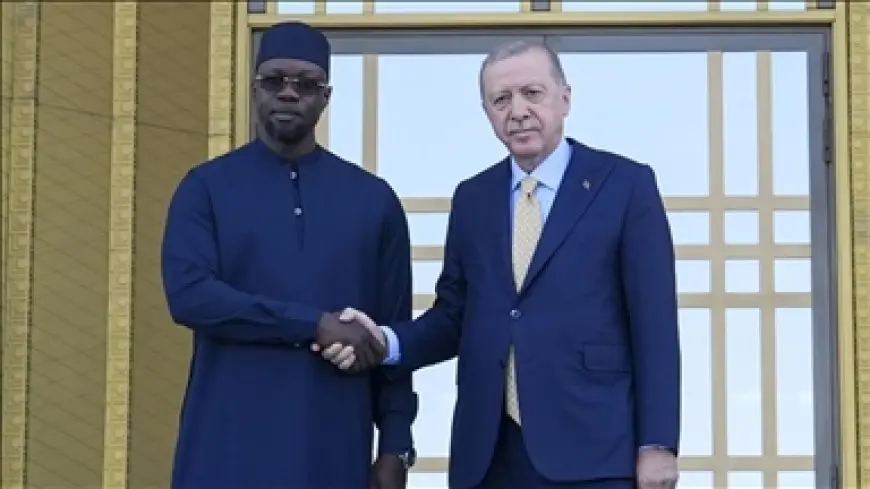 أردوغان يلتقي رئيس وزراء السنغال في إسطنبول