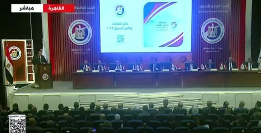 انتخابات مجلس الشيوخ.. نسب التصويت في أسوان والمرشح الفائز من الجولة الأولى