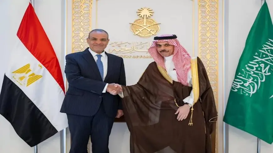 وزيرا خارجية مصر والسعودية يؤكدان رفضهما لقرار إسرائيل باحتلال كامل قطاع غزة