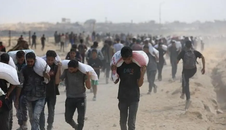 صحة غزة: حصيلة ضحايا الحرب تتجاوز 216 ألفا.. و8 وفيات جديدة بسبب المجاعة