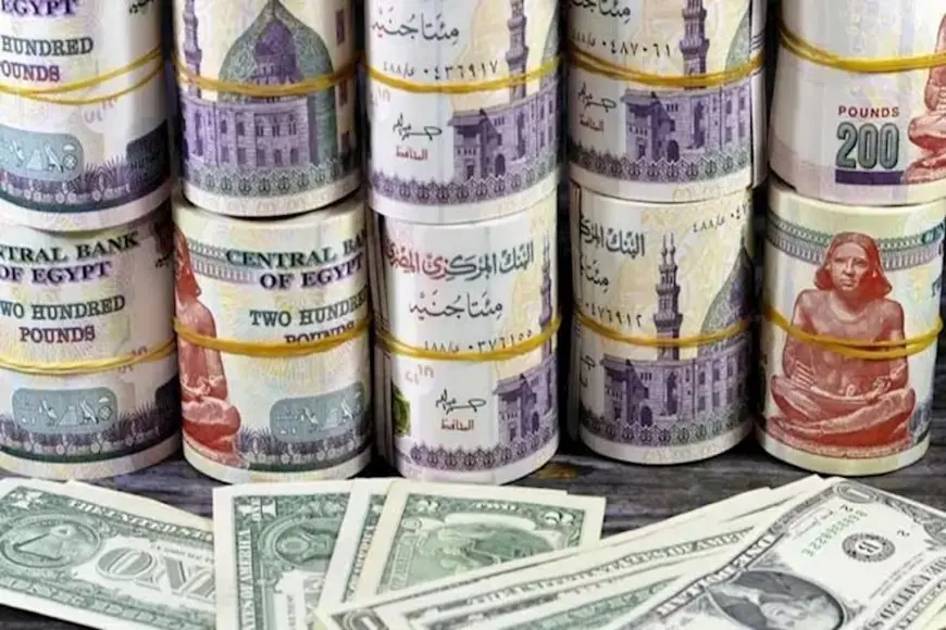مستوردون أم مصدرون.. من الرابح والخاسر من انخفاض الدولار مقابل الجنيه؟