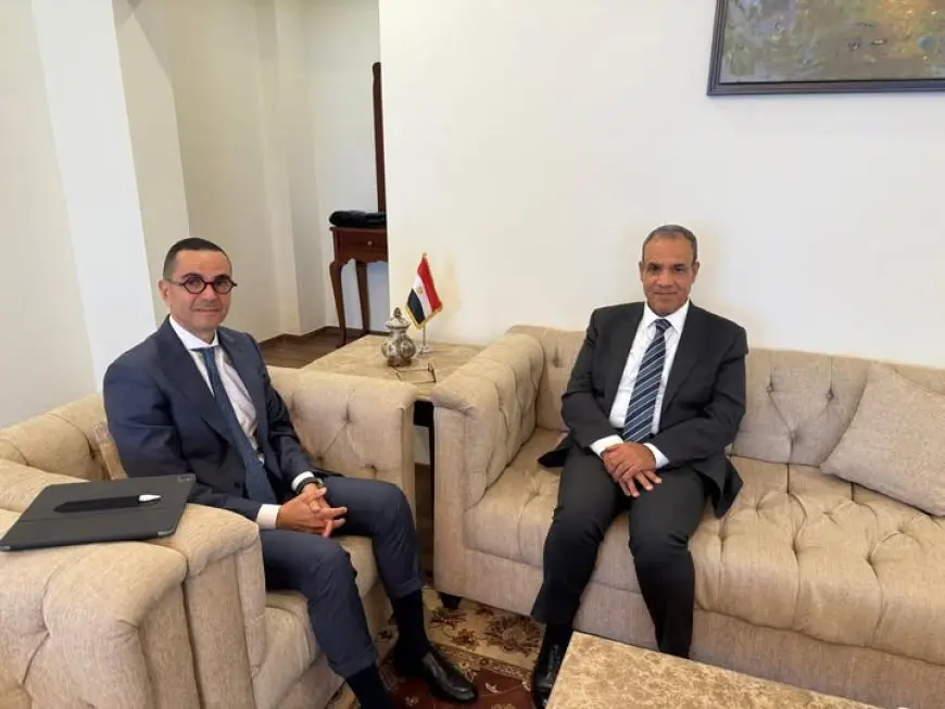 وزير الخارجية يؤكد علي أهمية تعزيز التواجد الاقتصادي المصري في القارة الإفريقية