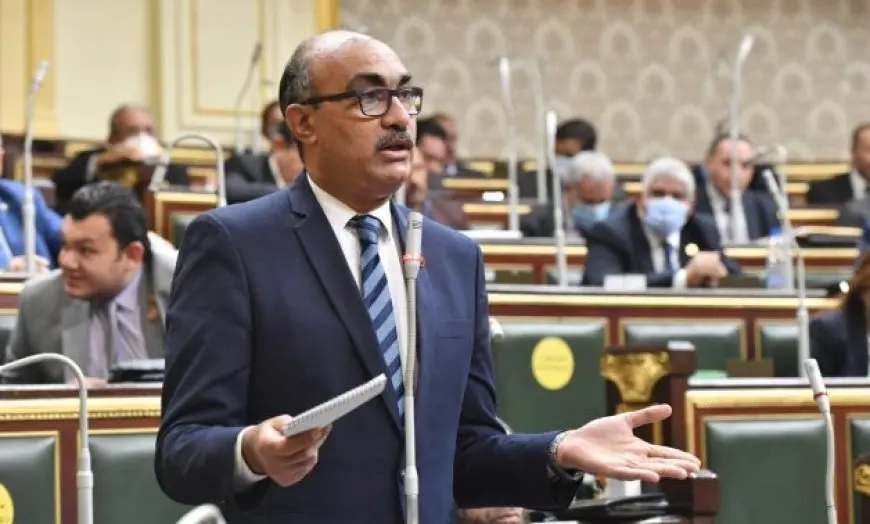 النائب إيهاب منصور يسأل الحكومة عن قرار زيادة أسعار الكهرباء.. ويصفه بعقاب مضاعف للمواطنين