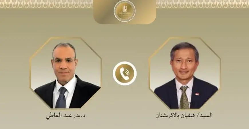 وزير الخارجية يؤكد ضرورة التحرك العاجل لمعالجة الأزمة الإنسانية الخطيرة في غزة