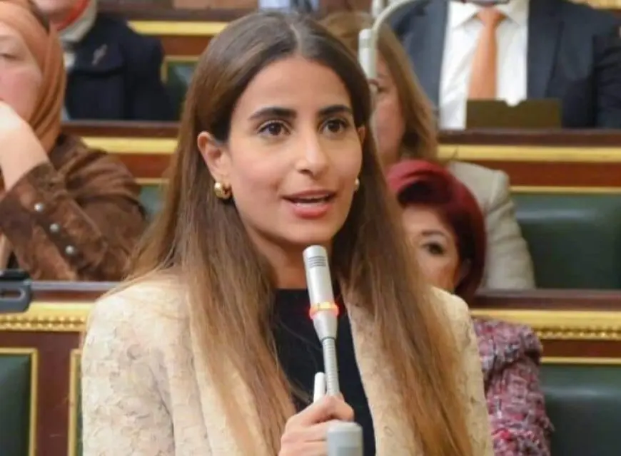 النائبة إيلاريا سمير حارص: التهجير القسري للفلسطينيين تصفية للقضية ومصر تواصل جهودها لمنع تنفيذه