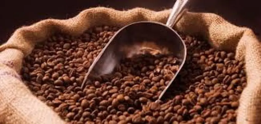 حرب القهوة في الأسواق العالمية.. ارتفاع الأسعار وغموض الإنتاج وتحديات لوجيستية