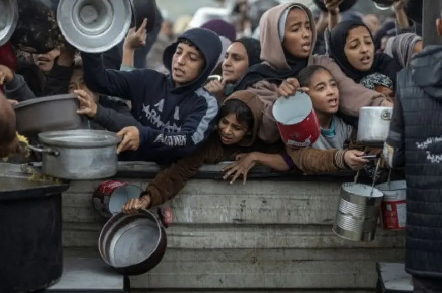 شهداء الجوع في غزة.. ارتفاع الوفيات إلى 263