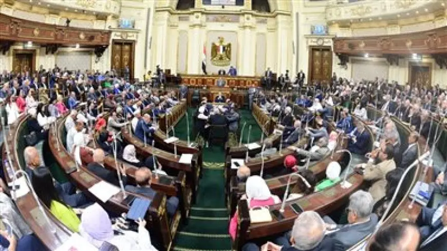سؤال برلماني للحكومة حول سياسات وزارة الصحة للوقاية من أمراض الفشل الكلوي والأورام