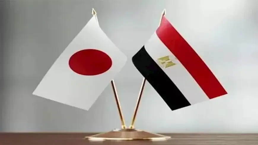 الإحصاء: 12.6% ارتفاعاً في التبادل التجاري بين مصر واليابان في أول 5 أشهر من 2025