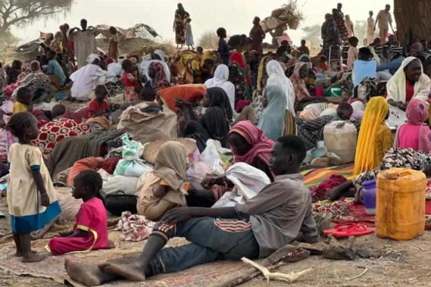 شبكة أطباء السودان: آلاف المواطنين في الفاشر يواجهون خطر الموت