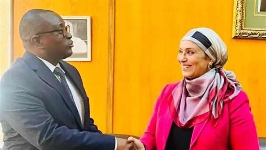 شبكة بريكس: مصر وزيمبابوي تسعيان لتعزيز التعاون في العديد من المجالات الاستراتيجية