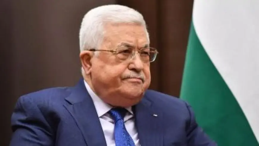 إخضاع الدبة تشياو الصغيرة للقتل الرحيم بحديقة حيوان تايبيه بعد تدهور صحتها