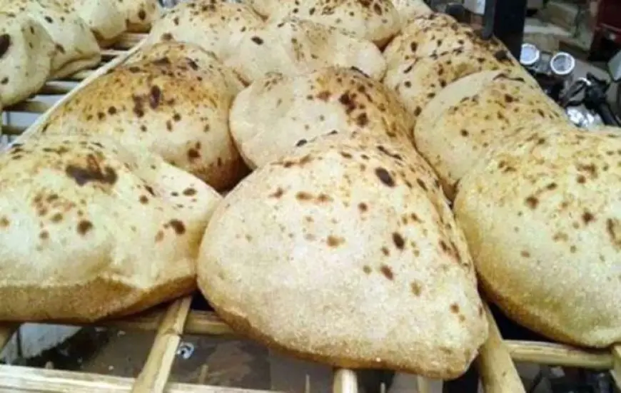 من القاهرة إلى نيويورك.. الخبز البلدي المصري خيار صحي يصل للعالمية