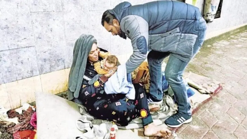 التضامن: التدخل السريع يتعامل مع حالات مسنين بلا مأوى في محافظات القاهرة والجيزة والغربية والدقهلية